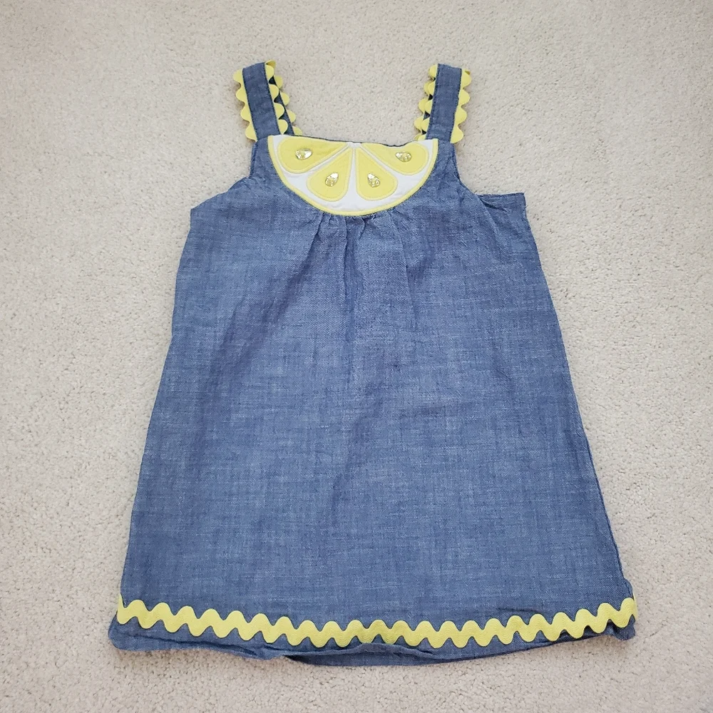 Gymboree Girls Embrodiered Lemon Chambray Dress - Citrus & Sunshine sz18-24m